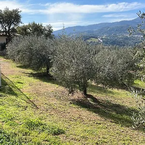 Vigna De' Luceri Appartamento